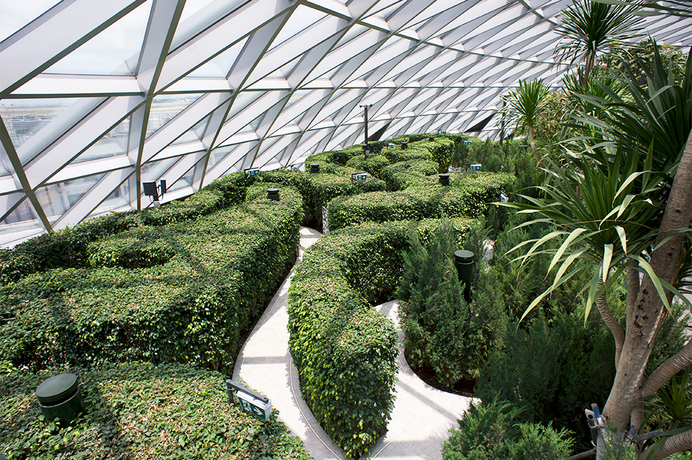 Hedge Maze at Jewel Changi Airport Canopy Park
